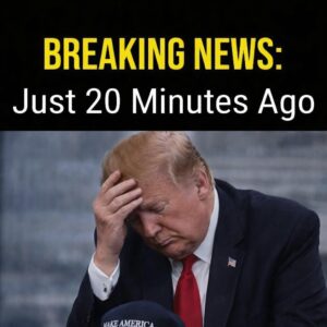 Former Secret Service agent and commentator Dan Bongino