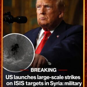 US launches large-scale strikes on ISIS targets in Syria: military