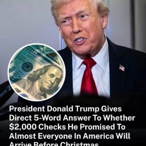 President Donald Trump Gives Direct 5-Word Answer To Whether ,000 Checks